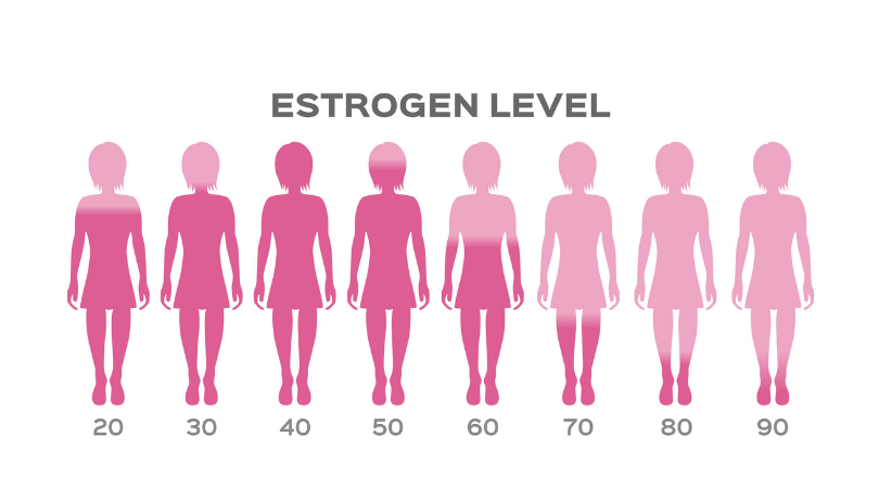 Nguyên nhân dẫn đến sự thống trị của estrogen